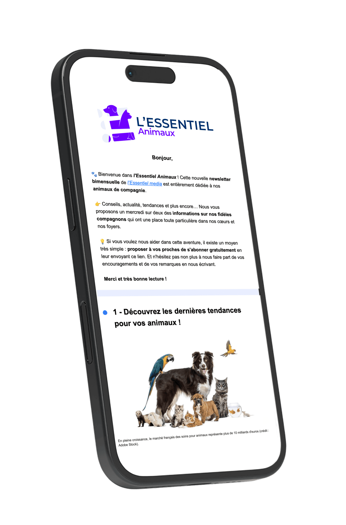 Newsletter l'Essentiel Animaux