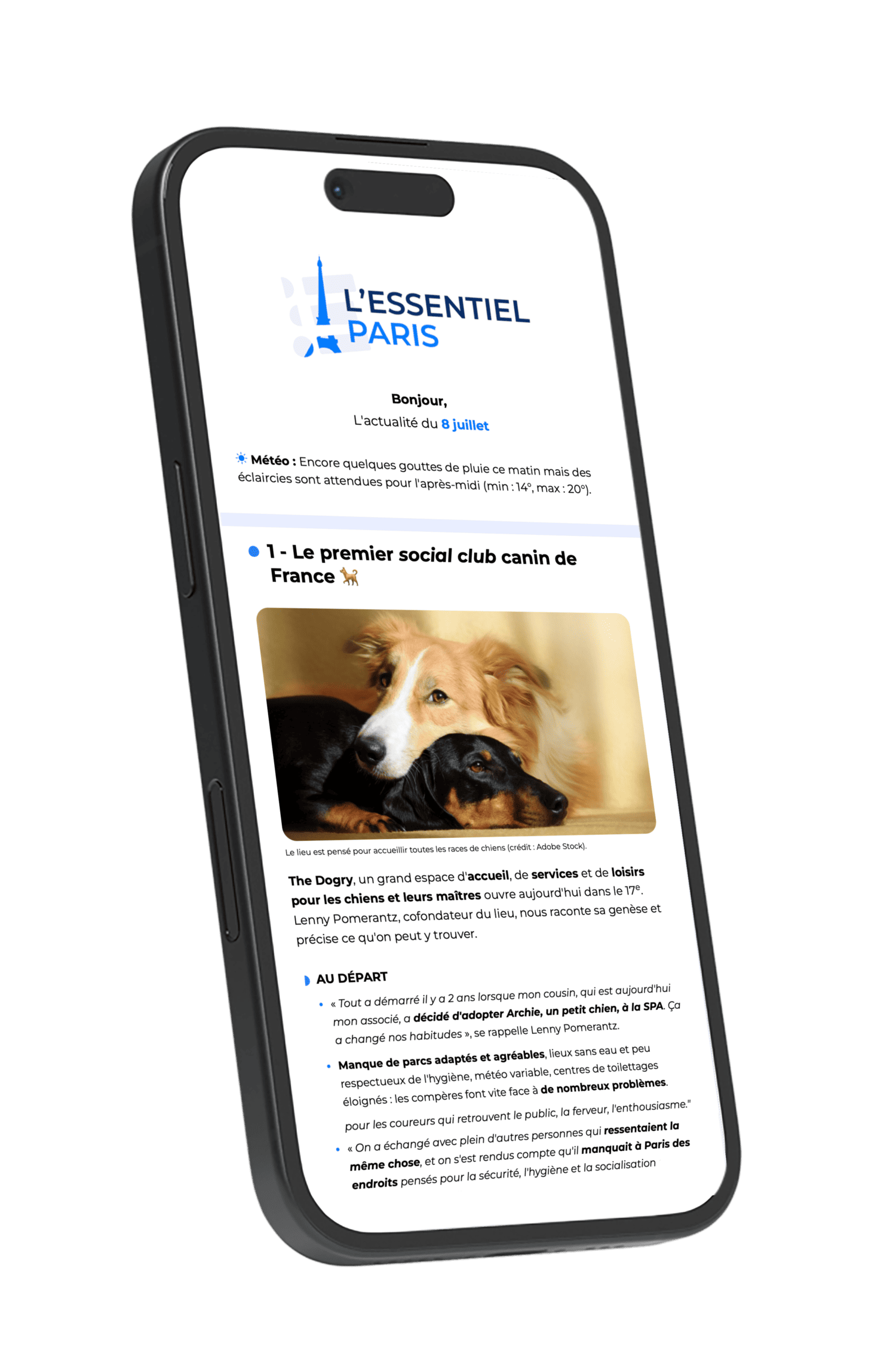 Newsletter l'Essentiel Paris