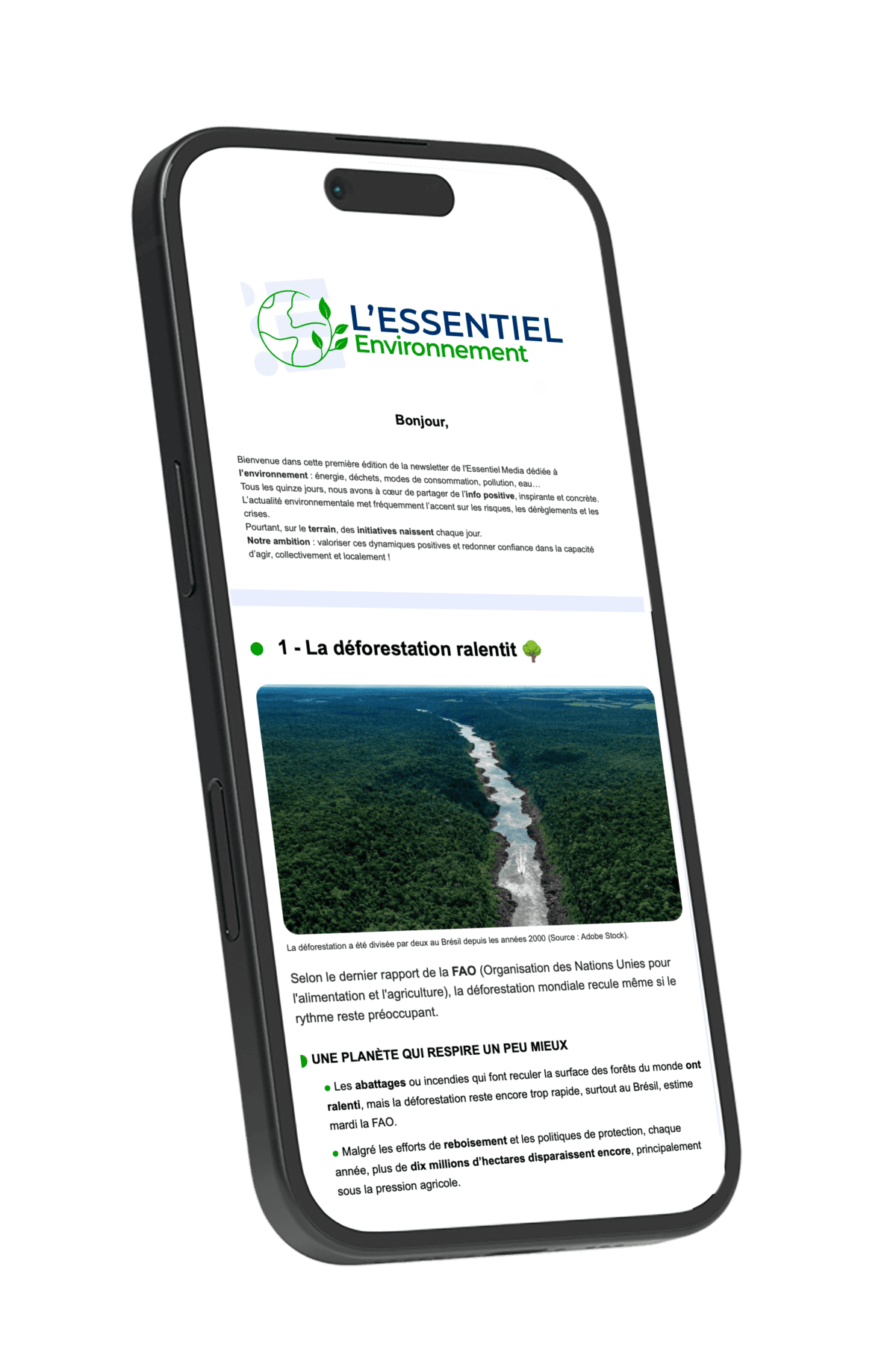 Newsletter l'Essentiel Environnement