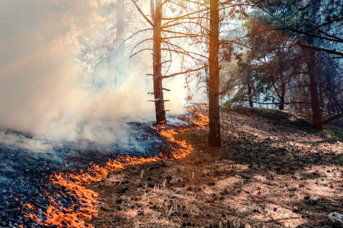 Les enfants informés sur le risque incendie