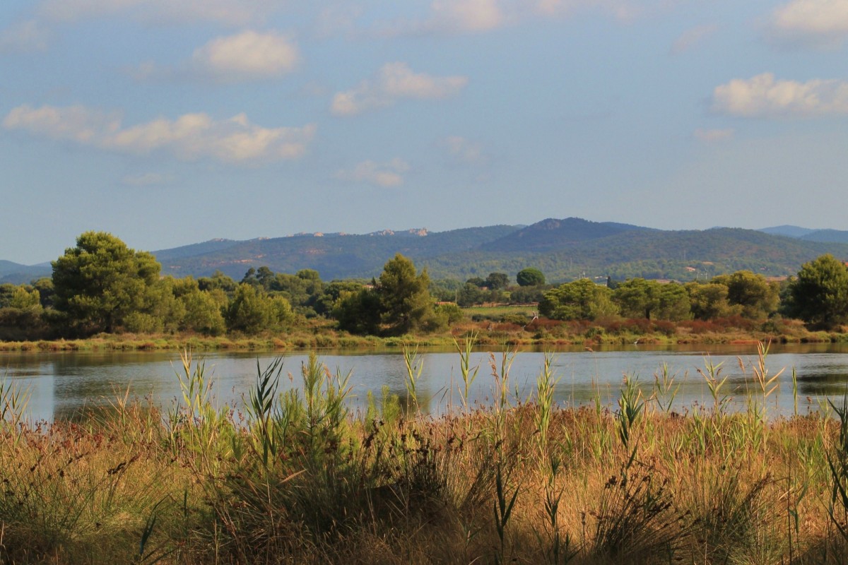Toulon et les communes voisines participent à la Fête de la nature
