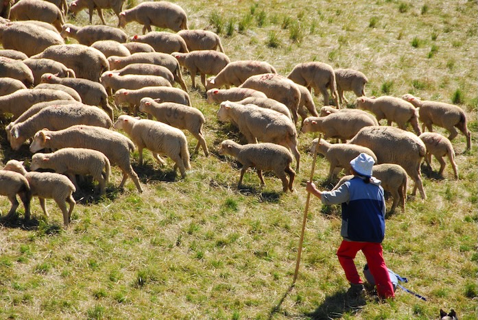 Bar des sciences : Quand la nature réinvente nos territoires