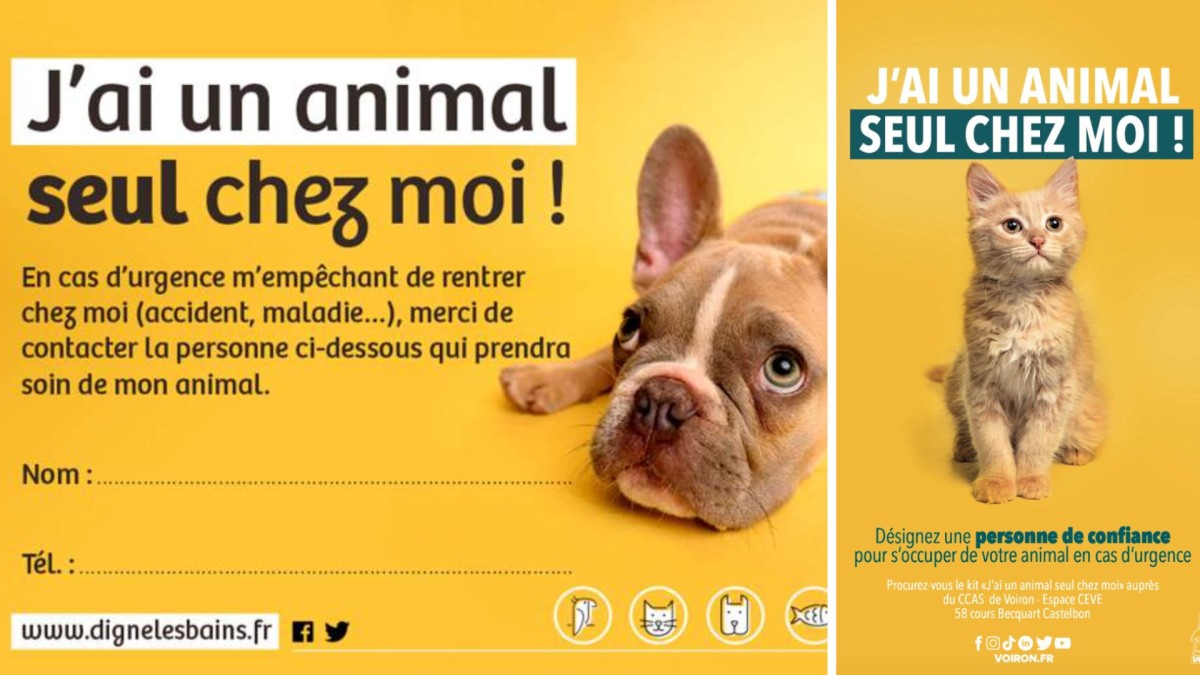"J'ai un animal seul chez moi", la carte de prise en charge en cas d'urgence médicale