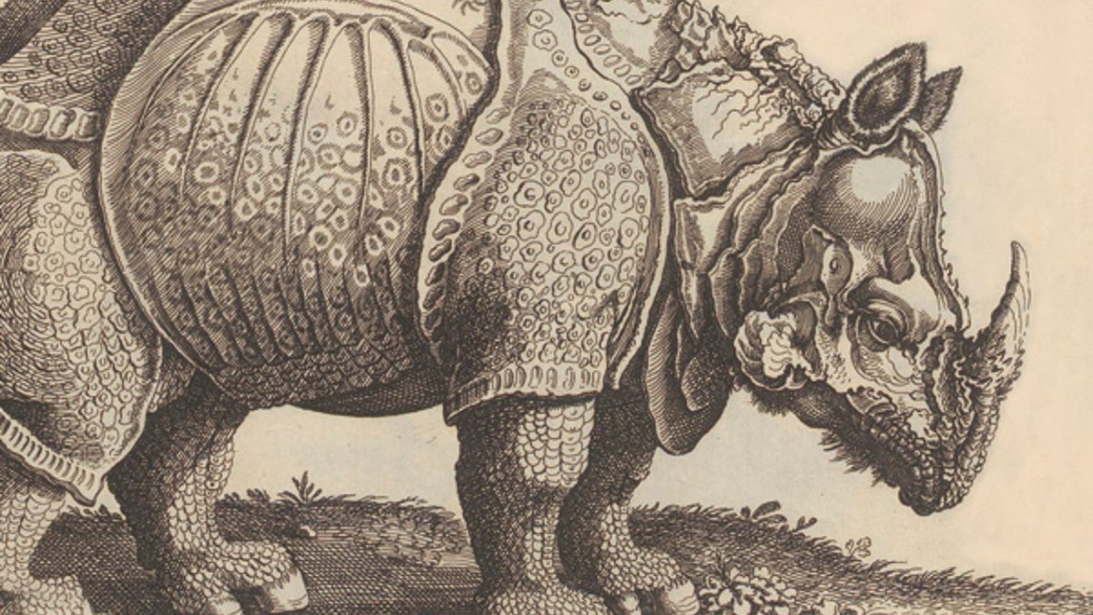 Grenoble : De l'histoire naturelle en 30 minutes