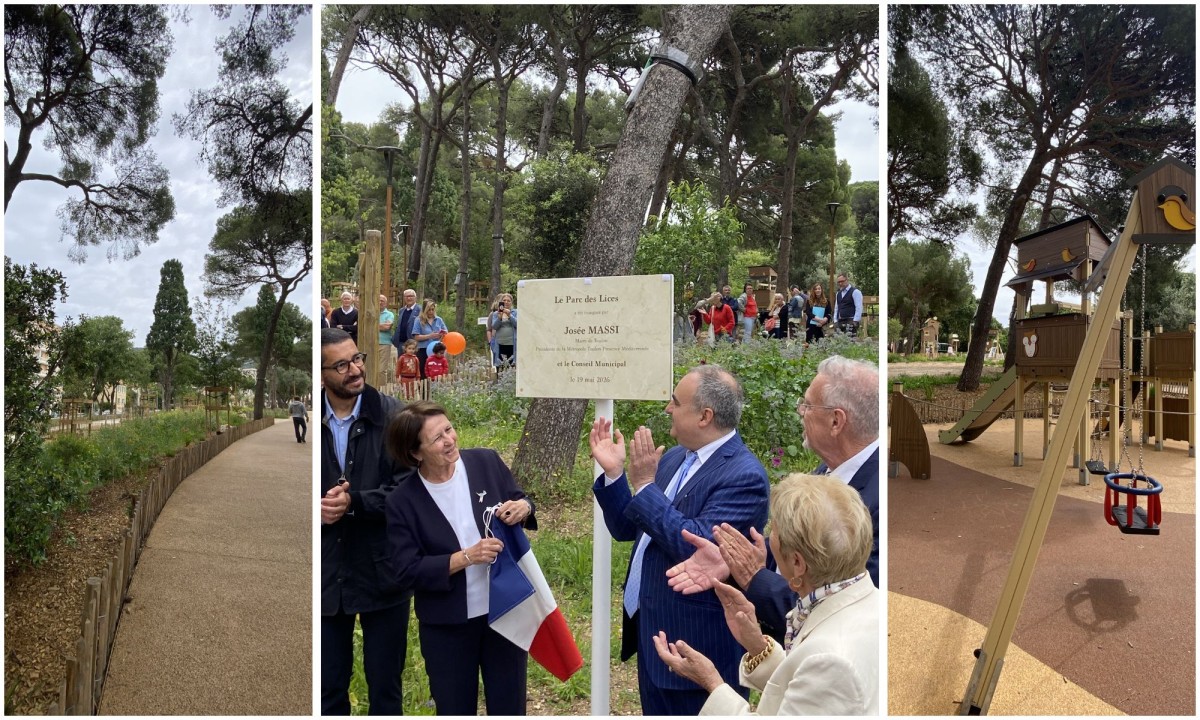 390 arbres plantés en centre-ville à Toulon