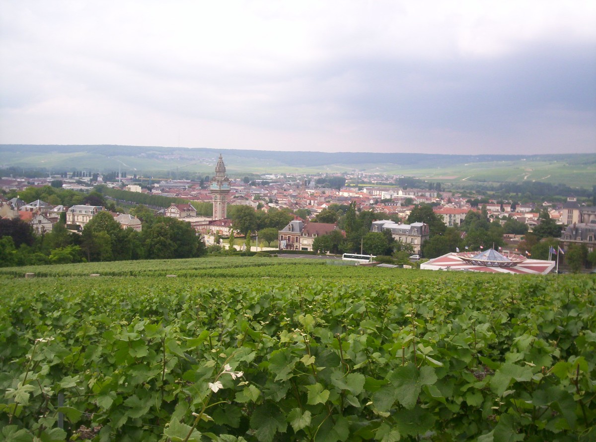 Épernay obtient le label « Ville d'art et d'histoire »