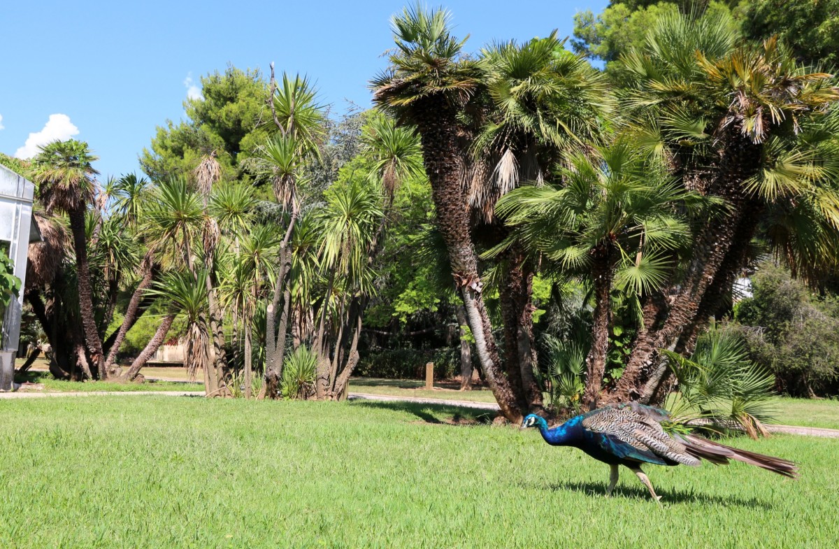 Tous aux jardins à Toulon et aux alentours