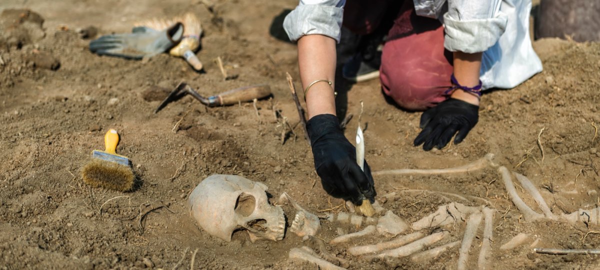 Lille : top départ pour les Journées Européennes de l'Archéologie