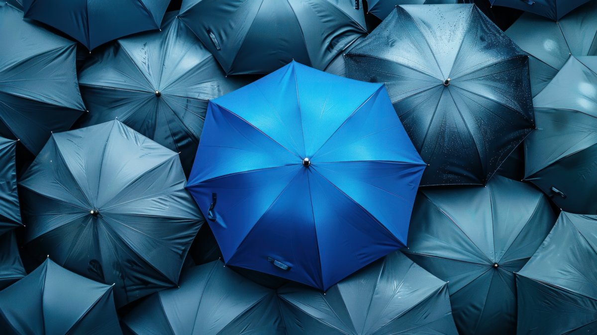 La Marche des Parapluies à Clermont-Ferrand