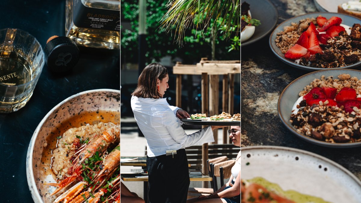 Bordeaux : nouvelle brasserie dans le quartier Paludate-Corto Maltese