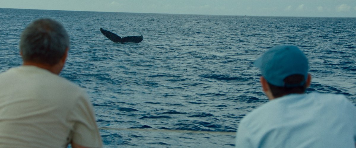 À Nice, La Baleine et le musicien diffusé en avant-première au Rialto