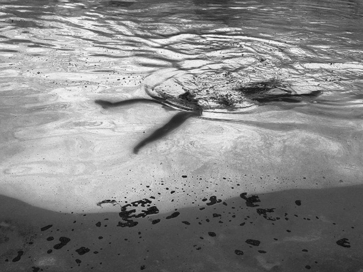 Lyon : 5 000 photos pour raconter les fleuves