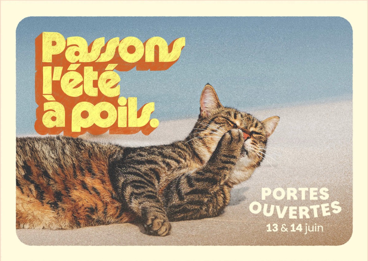 Portes ouvertes à la SPA le 13 et 14 juin 2026 : « C’est le moment idéal pour adopter »