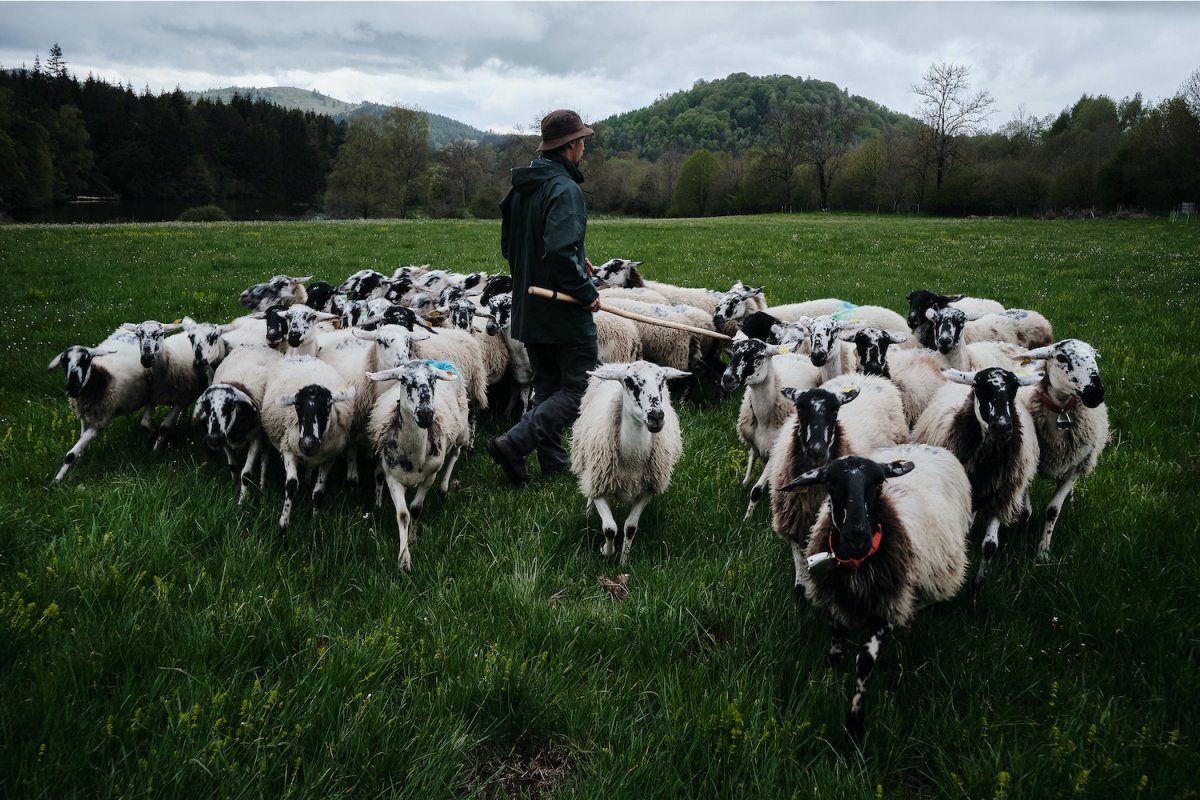 La vie du berger mobile racontée en images à Clermont-Ferrand