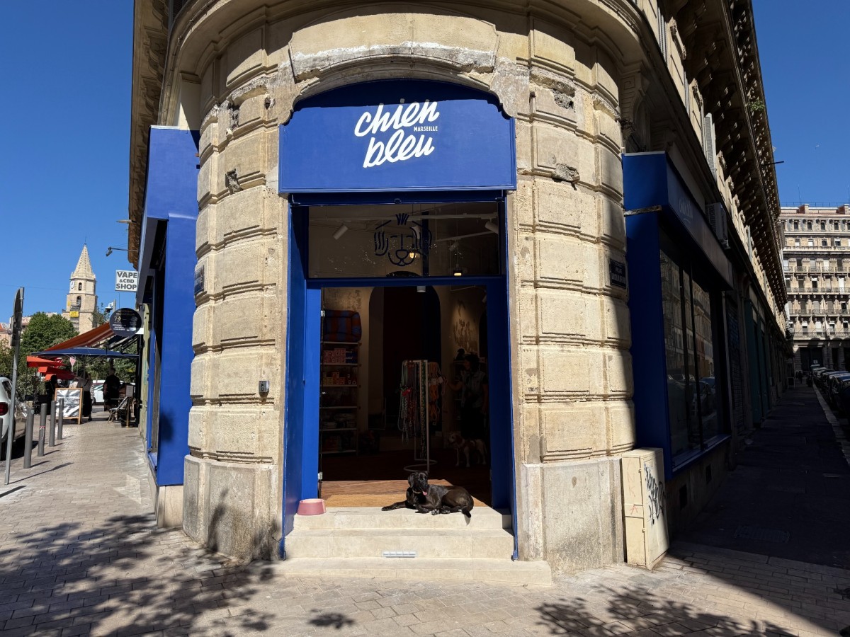 Tout, tout pour les chiens à Marseille