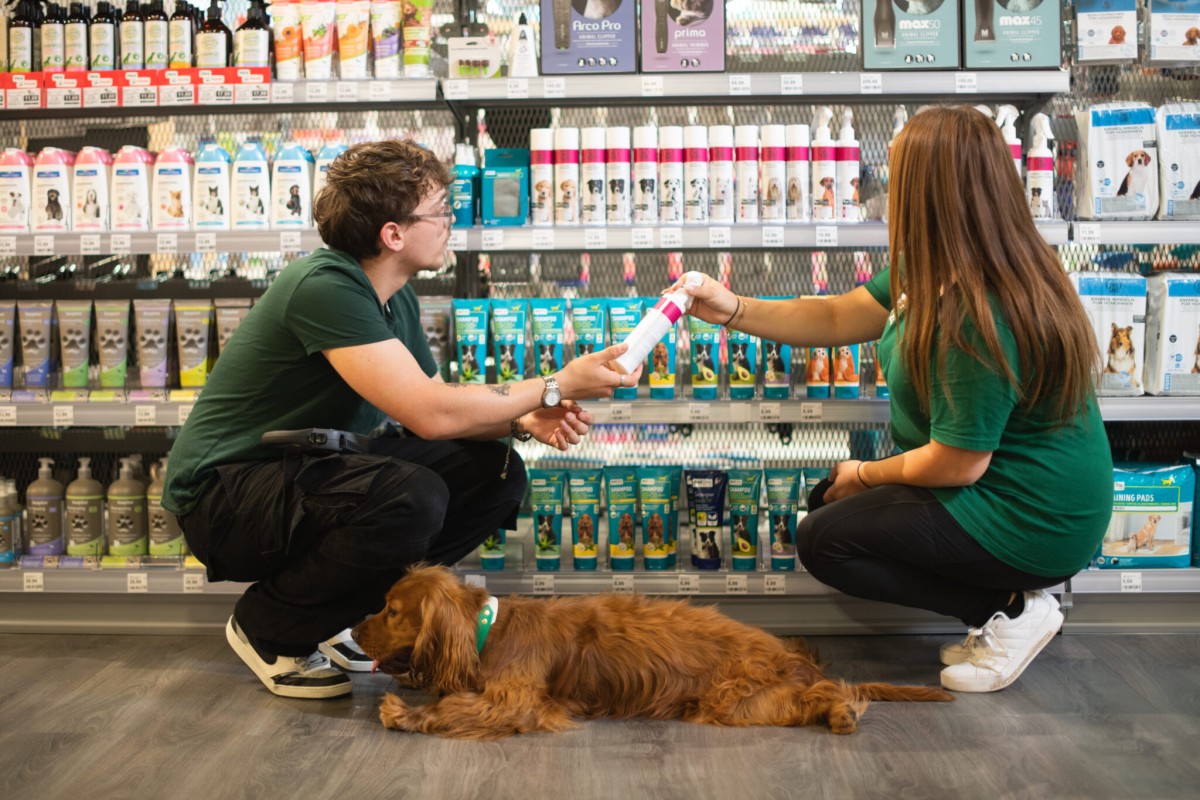 Rennes : une nouvelle animalerie au concept urbain ouvre en centre-ville