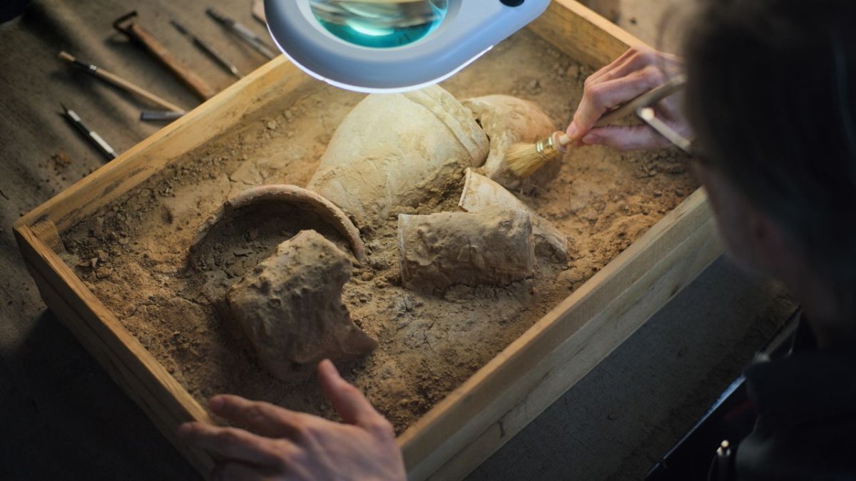 L’archéologie ouvre ses portes autour de Grenoble
