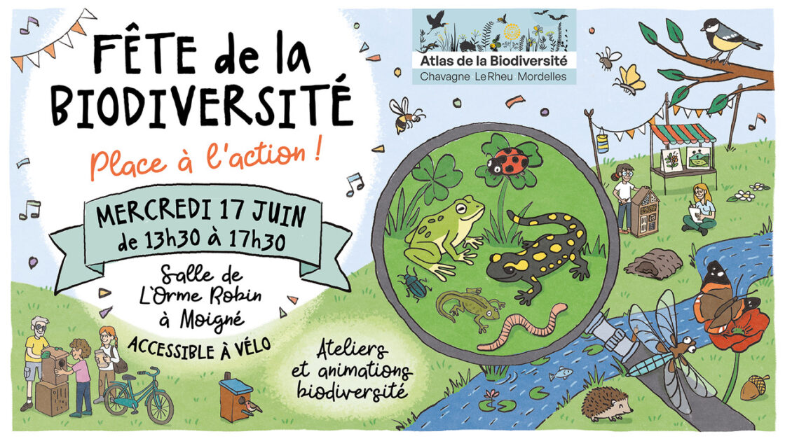 Près de Rennes, l'Atlas de la biodiversité fête ses 3 ans avec des animations pour le grand public
