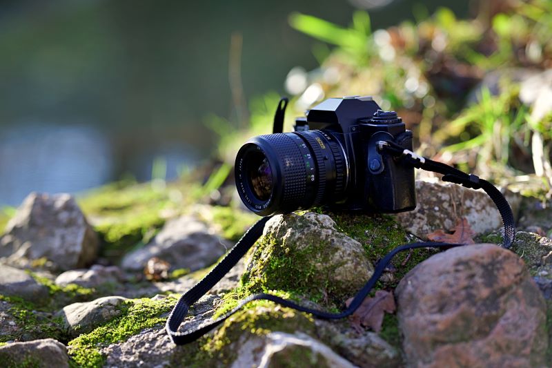 Coup de projecteur sur la photographie à Orvault près de Nantes