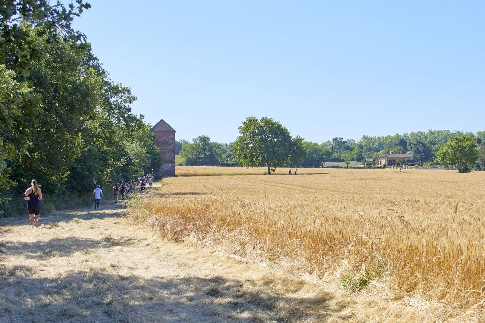 La course à pied sous toutes ses formes