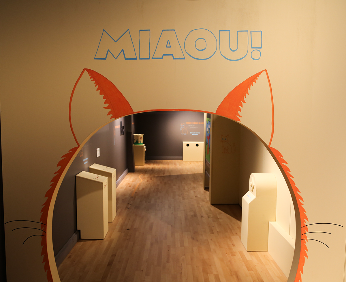 Début de l'exposition « Miaou ! » au Muséum de Bordeaux