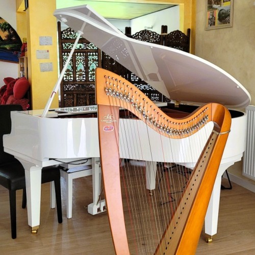 Rennes : une chambre d'hôtes pour musiciens