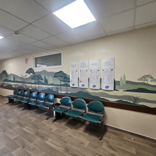 Des fresques pour apaiser à l'hôpital Lapeyronie