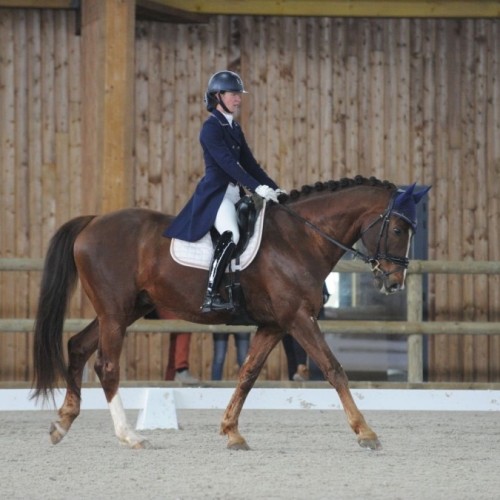 Une compétition de dressage équestre près de Rouen 🏇🏼