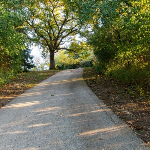 Le square de l’Observance devient le parc Félicie-Hervieu 🌳