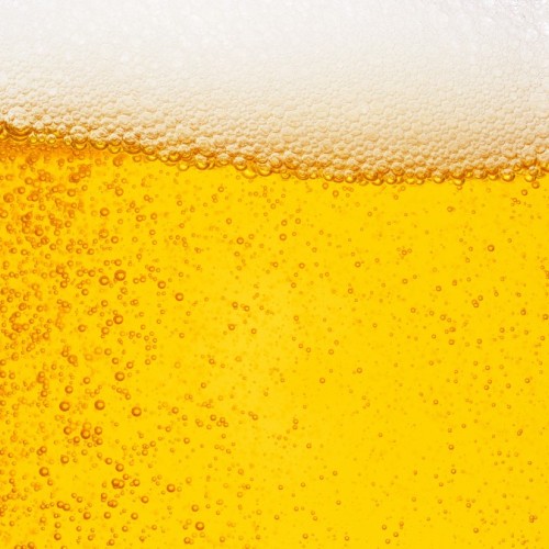 La Moisson des Brasseurs vous fait découvrir les brasseries du Nord