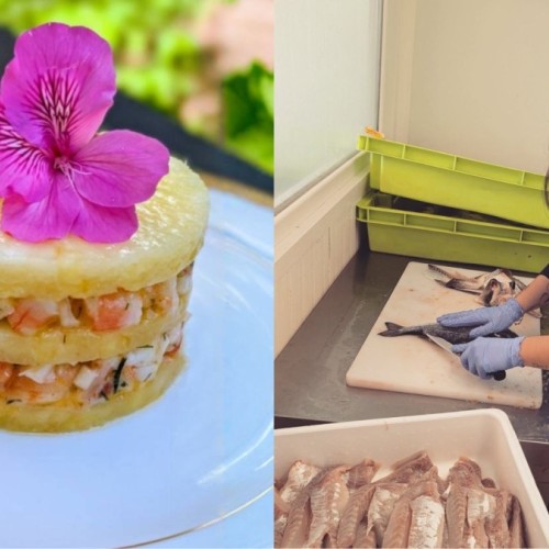Le portrait : Camille Dolciami, coquillages, poissons et crustacés 🦐