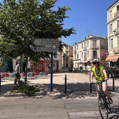 Pourquoi appelle-t-on le quartier Figuerolles ainsi ?