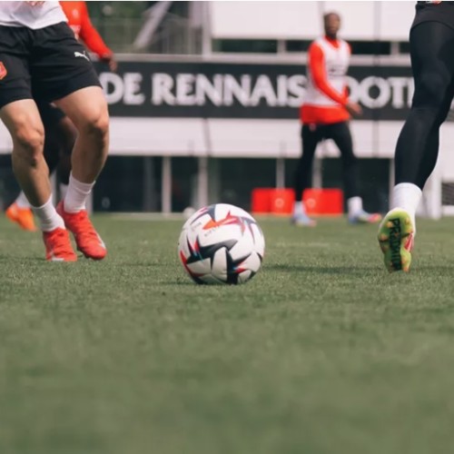 Ligue 1 : le Stade Rennais reprend l'entraînement