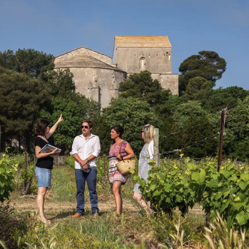 Des mardis dégustations sur la presqu'île de Maguelone