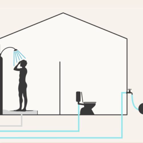 La bonne idée : Réutiliser l’eau de sa douche pour arroser ses plantes 🚿