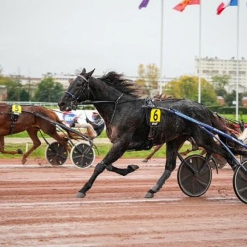 À l'hippodrome de Toulouse 🏇