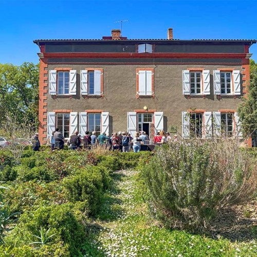 Des séances de cinéma plein-air, gourmandes et engagées 🎞️
