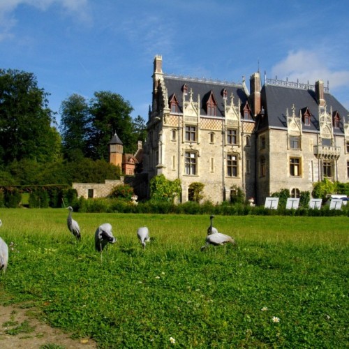 Une journée en famille au parc de Clères 🌼