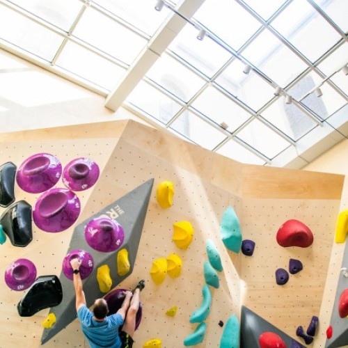 Rennes : The Roof - Origines rouvre au sein de l'Hôtel Dieu