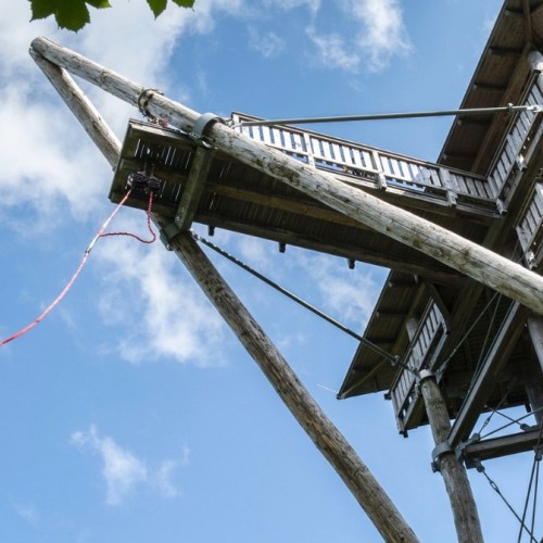 Adrénaline en hauteur au Parc Alsace Aventure