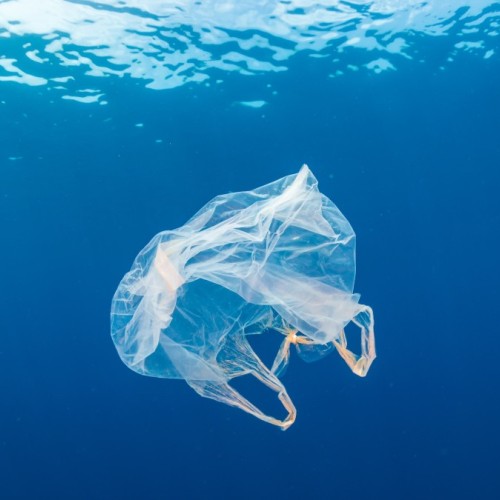 Bordeaux : une soirée sur la pollution plastique