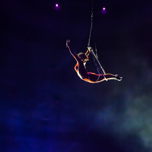 Le cirque moderne fait son festival près de Clermont-Ferrand
