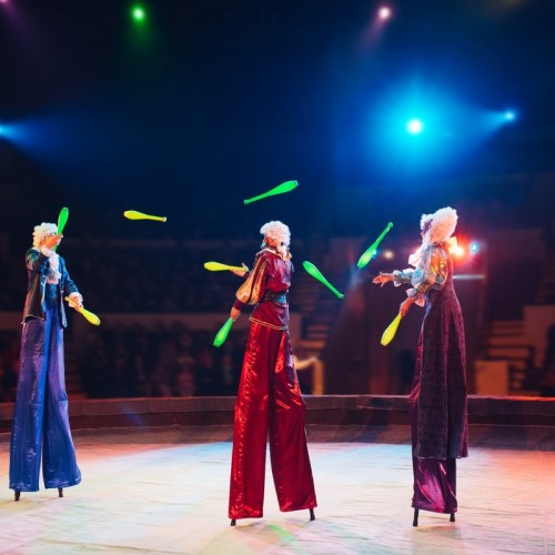 Une plongée dans l’univers magique du cirque à Paris