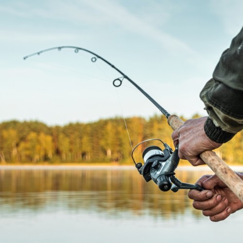Initiez vous aux différentes techniques de pêche 🐟