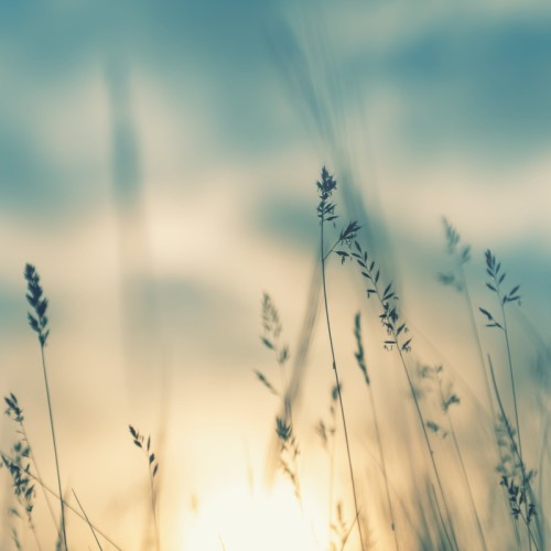 La nature en images près de Clermont