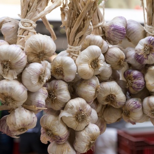 Se régaler lors d'une grande foire traditionnelle 🧄