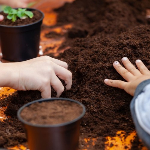 À Paris, des ateliers biodiversité pour toute la famille à la Fondation Good Planet