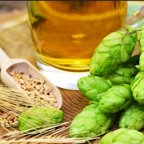 La Fête de la Bière revient à Schiltigheim