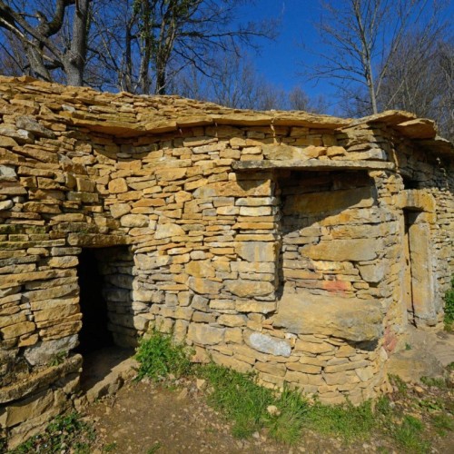 Près de Lyon : sur les traces des cabornes dans les Monts d’Or