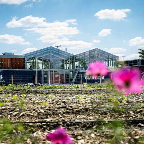 Visitez les champs du food court Cageot près de Lille